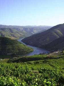 Portugal's Douro River Valley of Wine
