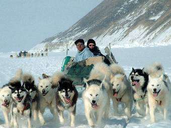 Dog sledding in Northwest Greenland