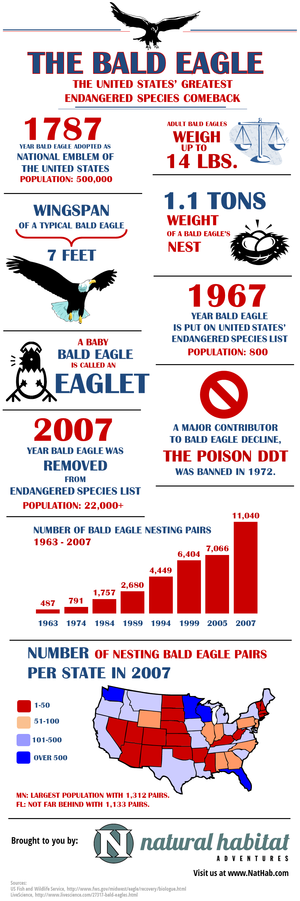 Bald Eagle Facts for 4th of July [Infographic]