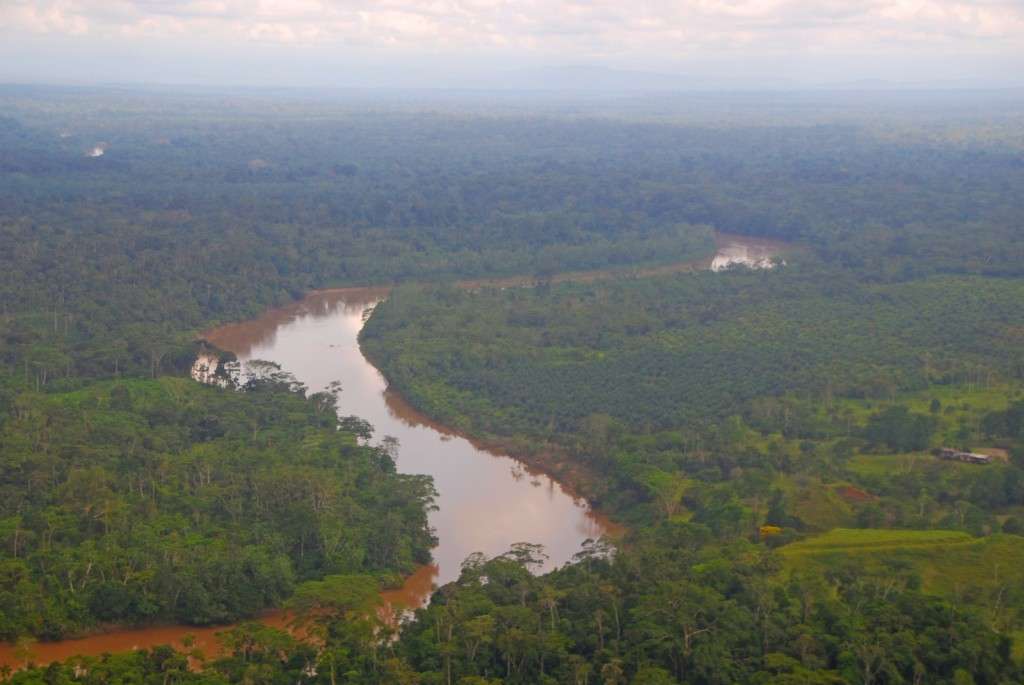 Ecuador’s Amazon Basin shot from above.