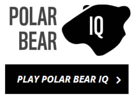 polar bear quiz