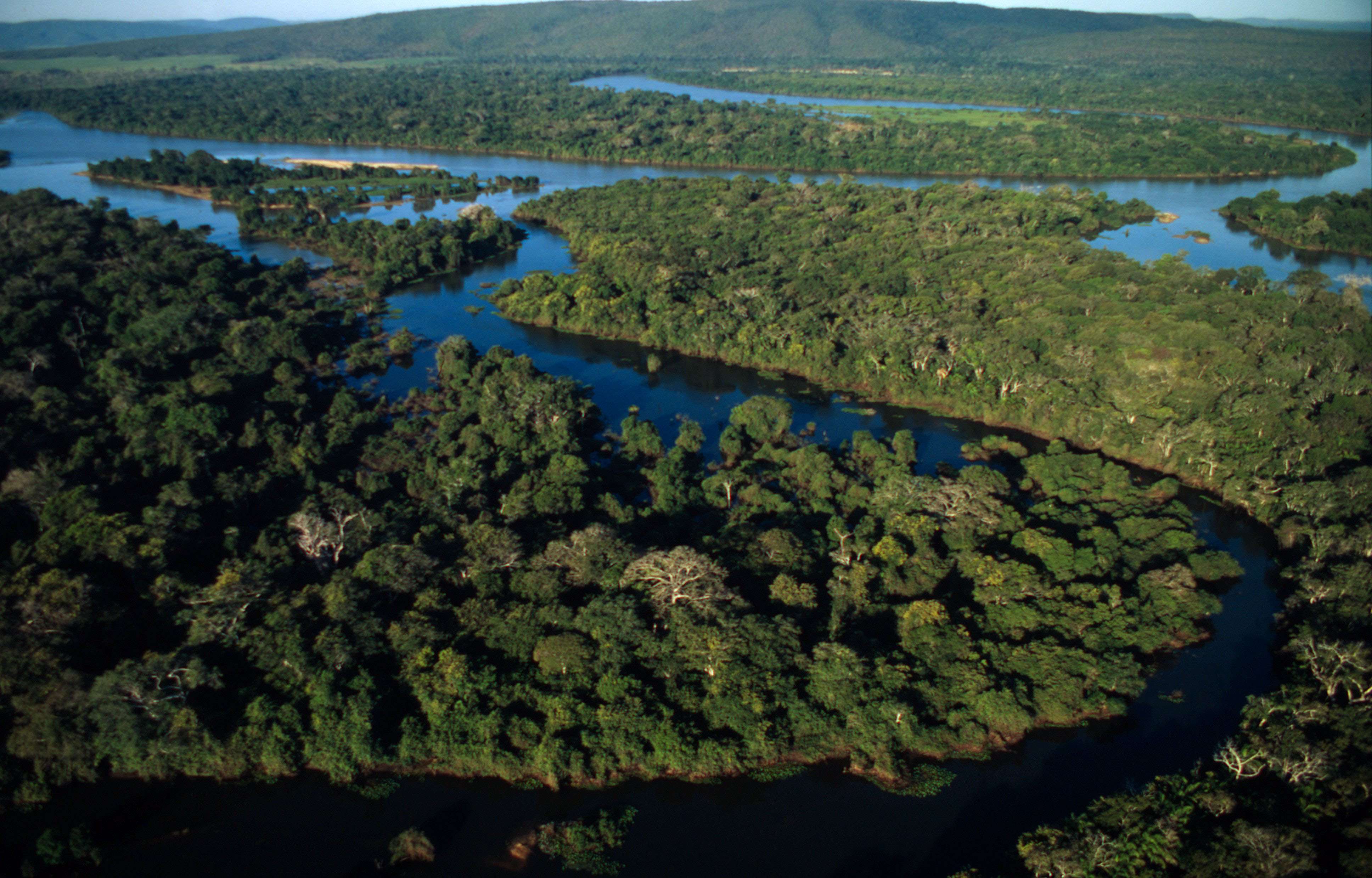 Aerial view of the Pantanal in Brazil. Photo (c) Juan Pratginestos/WWF-Canon