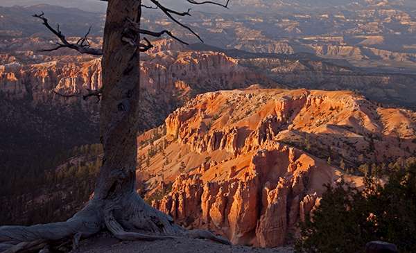 Colors of Bryce Canyon