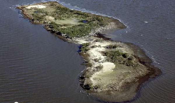 Cat Island, Louisiana, was a 5.5-acre refuge for a variety of shorebirds. From the video “Gulf Oil Spill Disintegrated this Island,” ©National Geographic