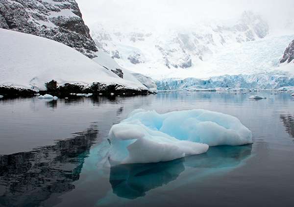 In such clear water, the bases of icebergs could be seen from the surface. ©Candice Gaukel Andrews