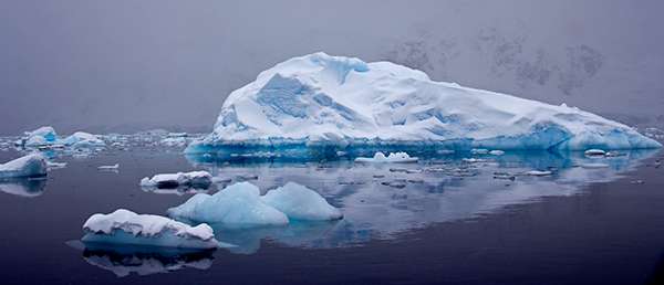 Although icebergs float in the ocean, they are made of frozen freshwater, not saltwater. ©Candice Gaukel Andrews