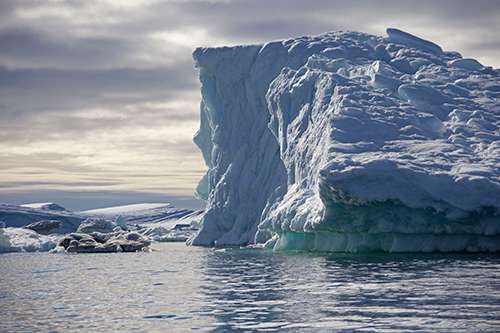 Massive icebergs calving off Greenland’s ice sheet are causing glacial earthquakes. ©Candice Gaukel Andrews