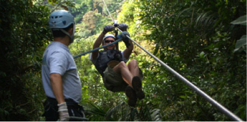 Zipline Sky Trek adventure through the rainforest canopy 