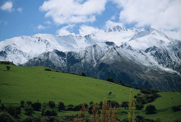 New Zealand holds fairytale, pastoral meadows and dreamlike, snowy mountains. ©Mark Hickey