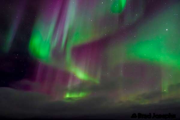 Variations in color are due to the type of gas particles that are colliding. Oxygen molecules located about 60 miles above the Earth produce the most common color, yellowish-green. Rare, all-red auroras are caused by high-altitude oxygen, at heights of up to 200 miles. Nitrogen produces a blue or purplish-red aurora. ©Brad Josephs