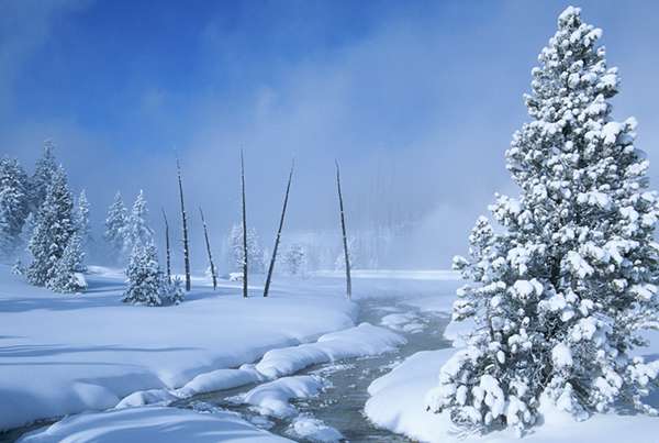 On a bright winter morning, snow enhances the beauty and quiet solitude of Yellowstone National Park. ©Henry H. Holdsworth