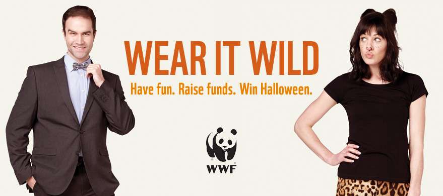 Wear It Wild, WWF