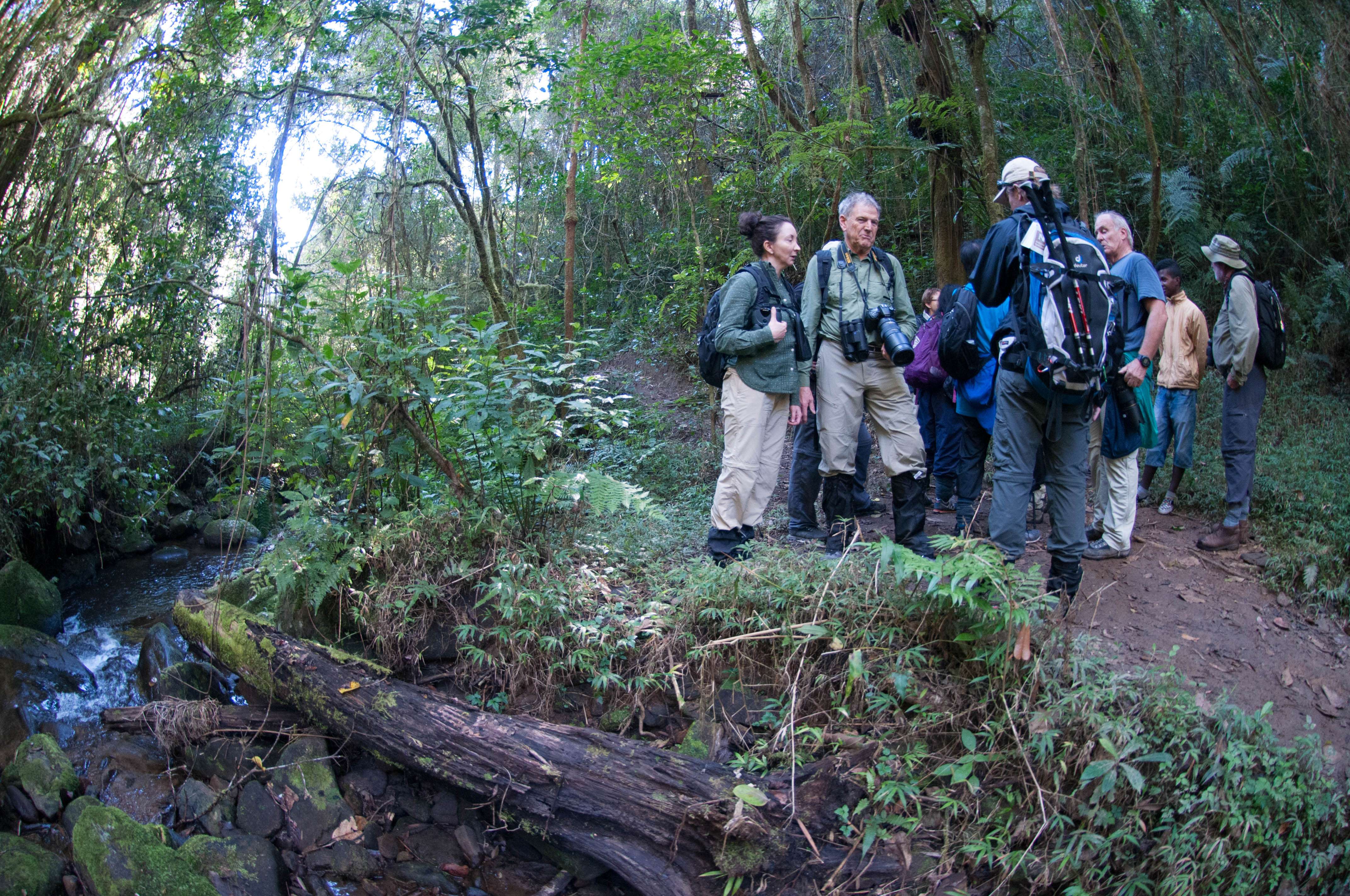 NatHab group in the Ranomafana National Park rain forest. © WWF-US/Rachel Kramer