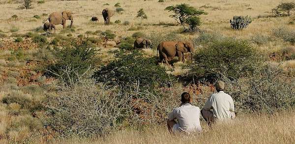 Damaraland Camp is located in the Torra Conservancy and is a good place to spot elephants and black rhinos.