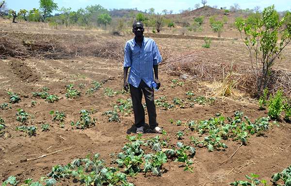 The Chikwawa district of southern Malawi, where this farmer grows his crops, is one of the worst impacted by rapid climate change. ©Eoghan Rice/Trócaire, flickr