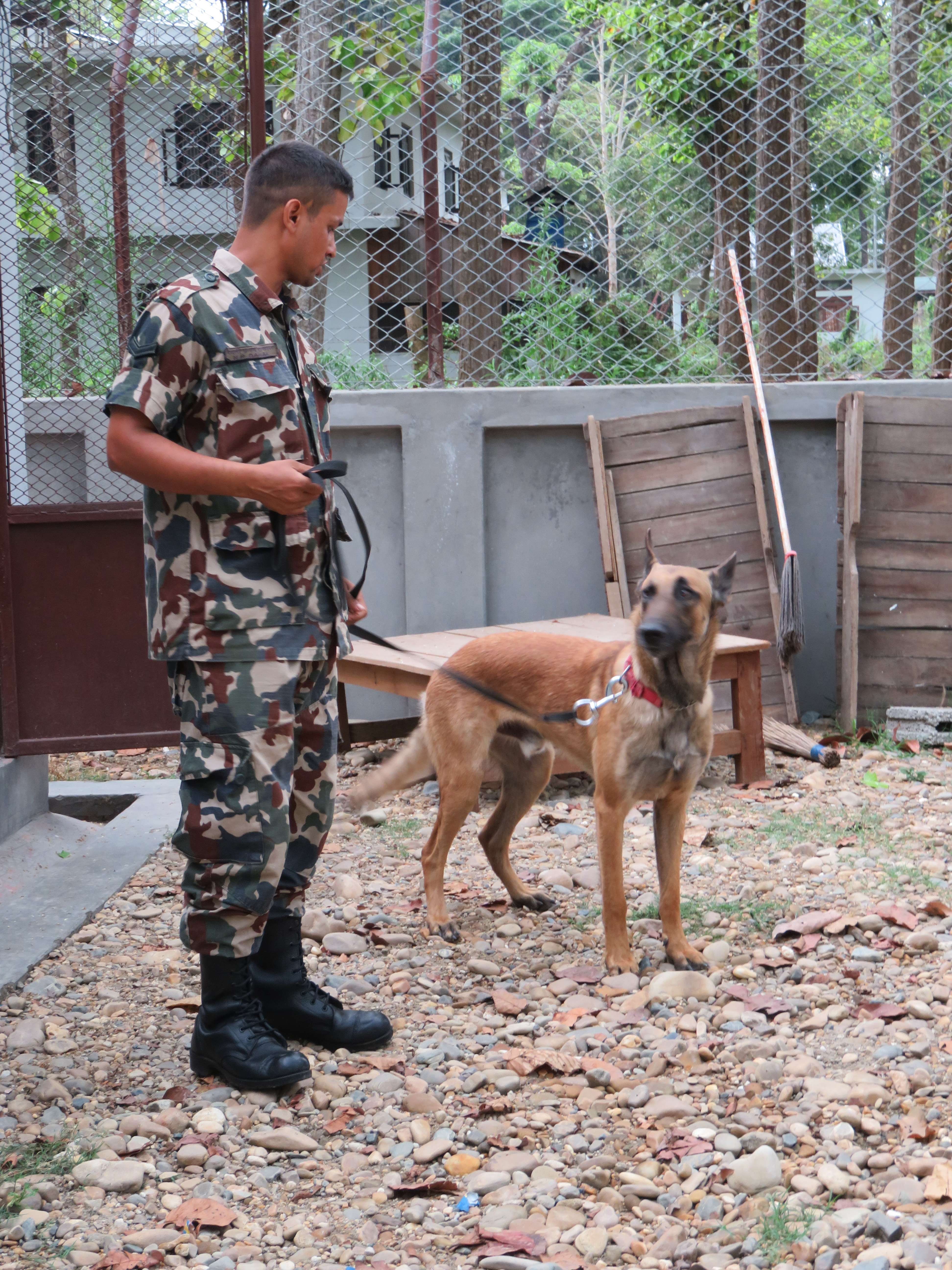 Sniffer dog trainer from the Nepali Army with "Murray." Photo taken at Chitwan National park headquarters days before the earthquake. © Rhonda Barnes Kloth/WWF-US