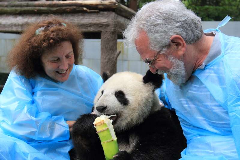 Panda with Nat Hab guests