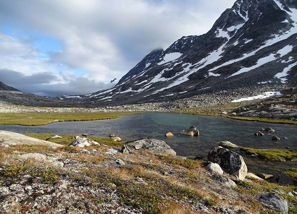 Greenland Nature Adventures