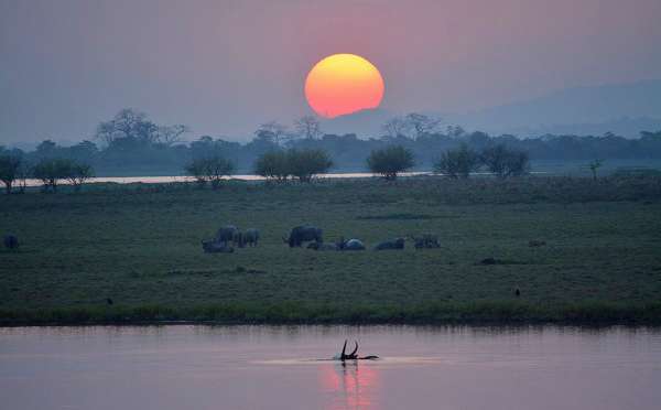 Sunset on an Indian safari
