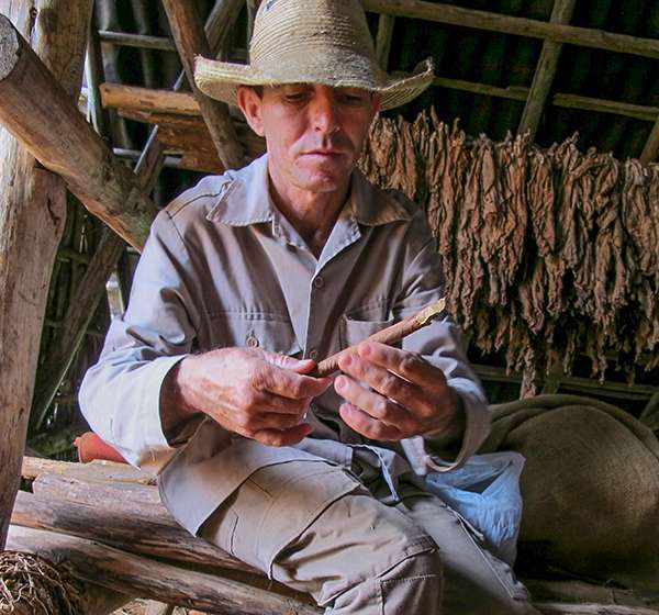 Hand-rolling a Cuban cigar