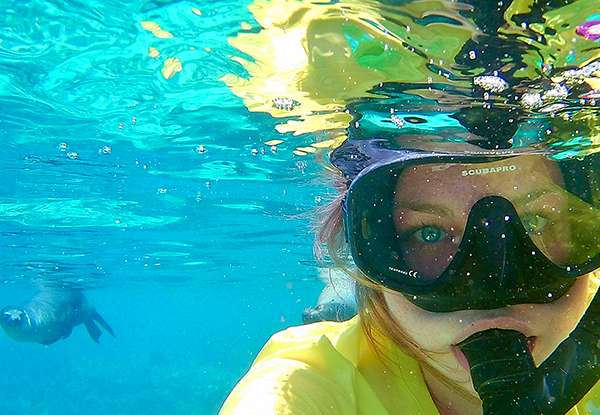 Galapagos snorkeling adventure