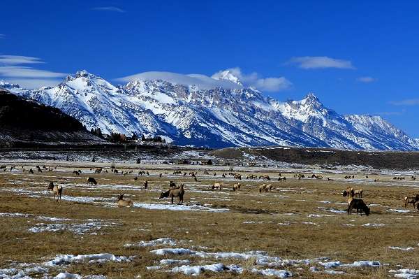 The Grand Tetons captured from The National Elk Refuge outside of Jackson, Wyoming.