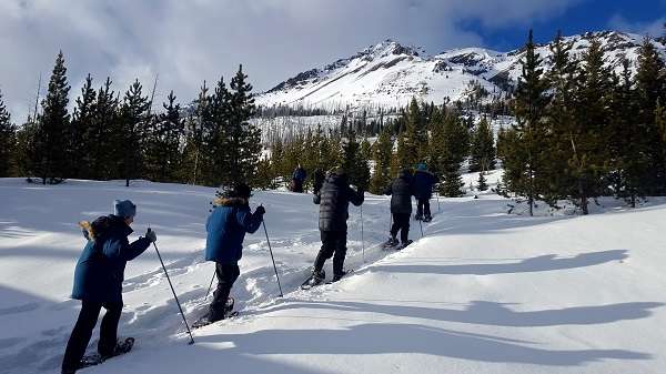 Snowshoeing is a wonderful and peaceful way to explore Yellowstone National Park in the winter.
