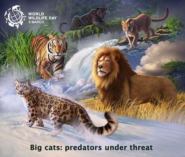 World Wildlife Day 2018 - “Big cats: predators under threat