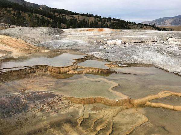 Terraces of Mammoth Hot Springs.