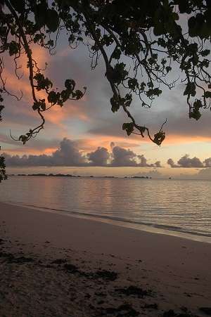 Sunset in Palau.