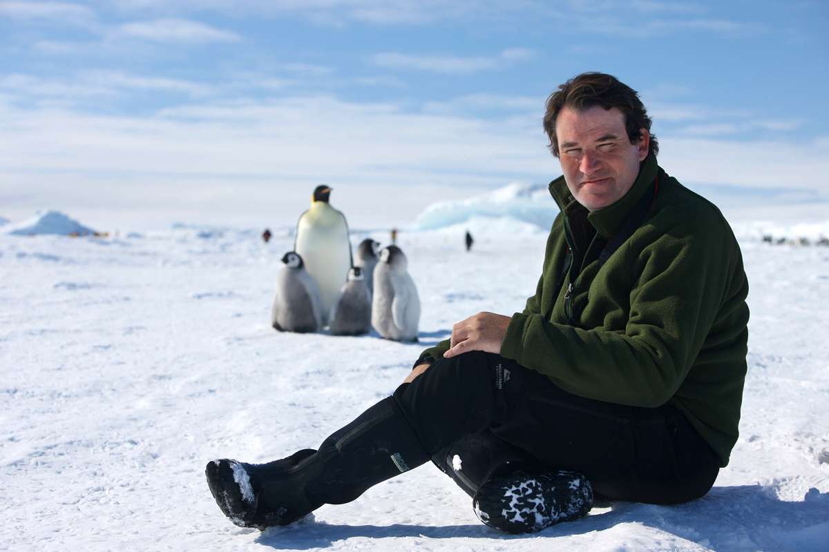 Our Planet director with penguins. 