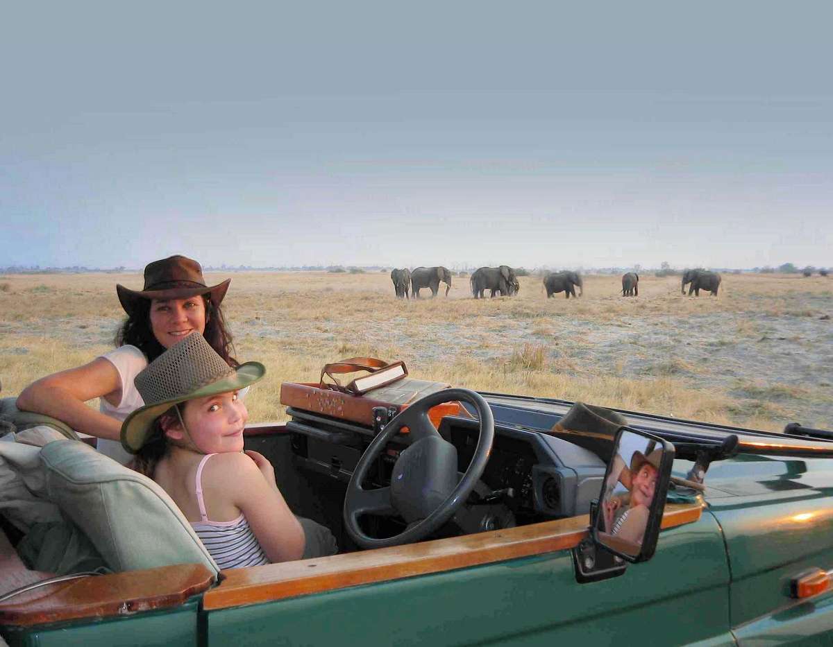 Nat Hab travelers on safari with elephants.