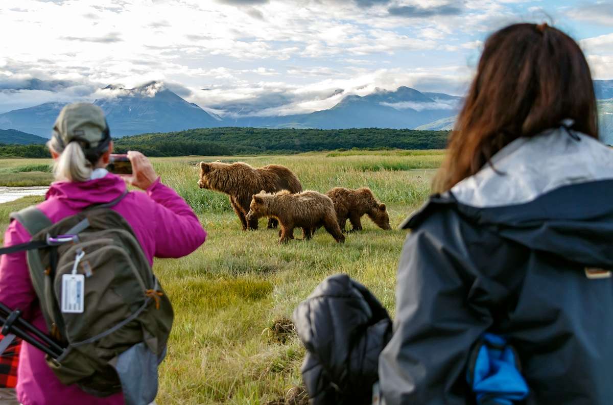 Nat Hab travelers with brown bears in Alaska. 