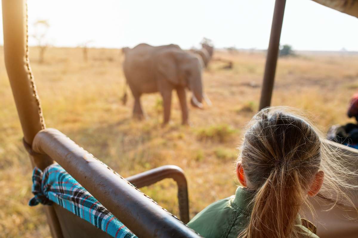 A girl on safari looks out at an elephant on the savanna.