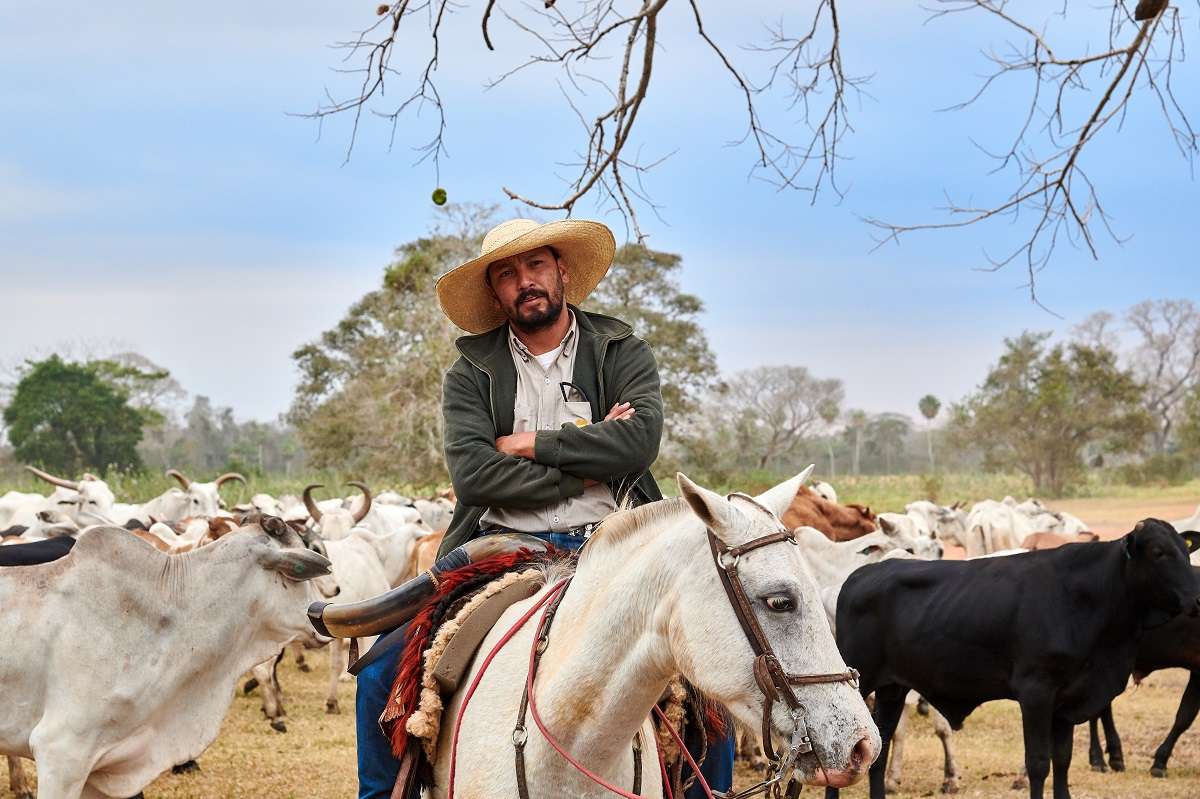 Cowboy and Herd, Caiman Ecological Refuge, Baiazinha Lodge
