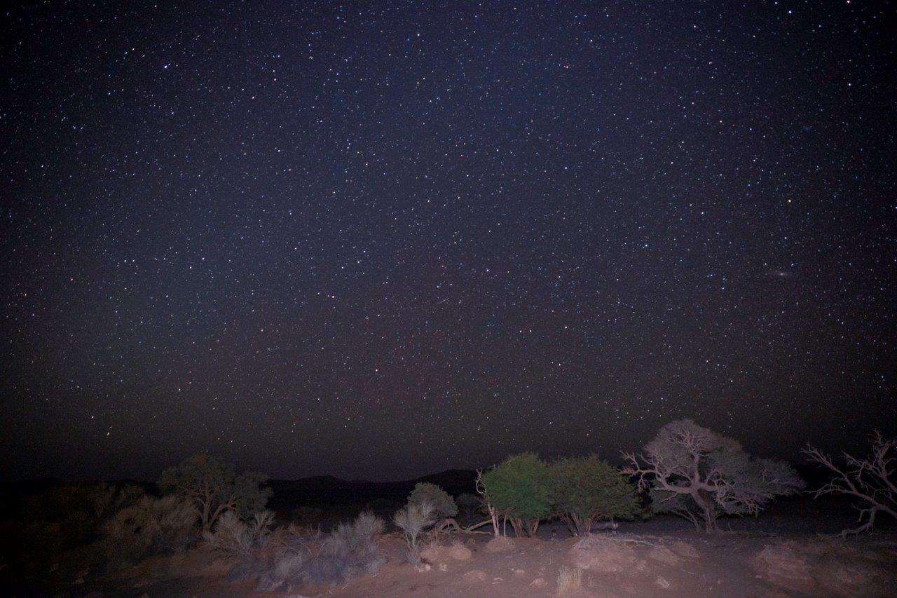 The night sky is spattered with stars—a testament to the remoteness of this desert region