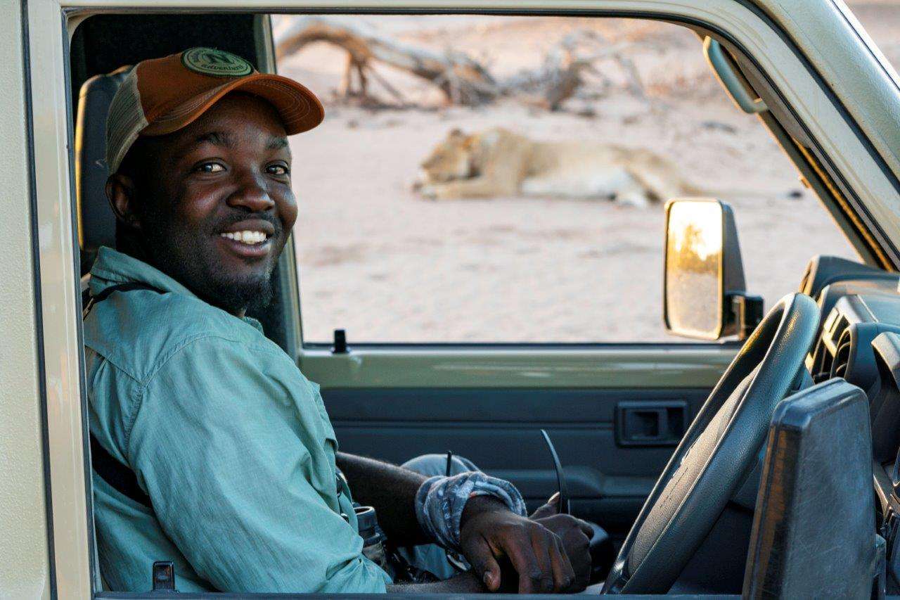 Safari guide with a lion in Namibia