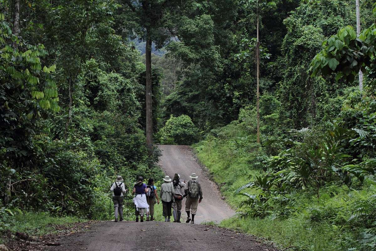 Nat Hab travelers in Borneo's rain forest