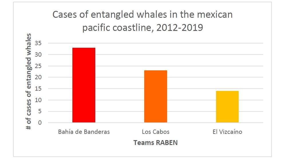 Graph depicting number of whale disentanglement cases in Mexico. 