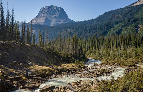 Paying for Protecting Wildernesses and Biodiversity | Good Nature ...