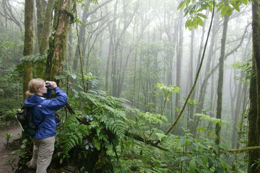 A Nat Hab traveler in the Costa Rican jungle. 