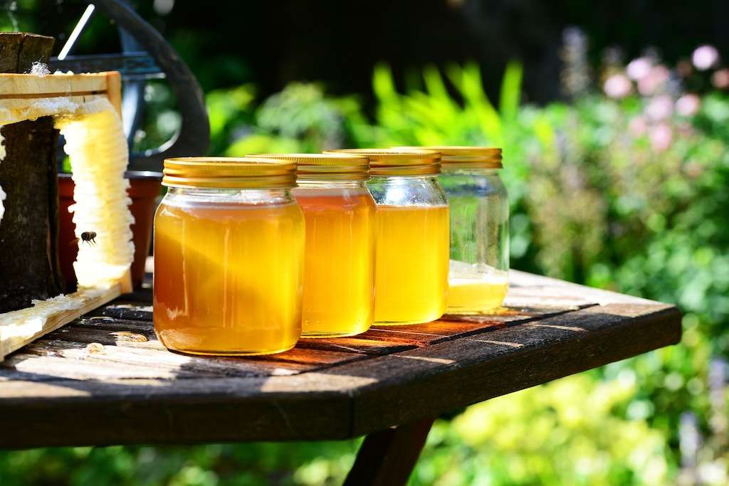 Harvesting honey in Slovenia