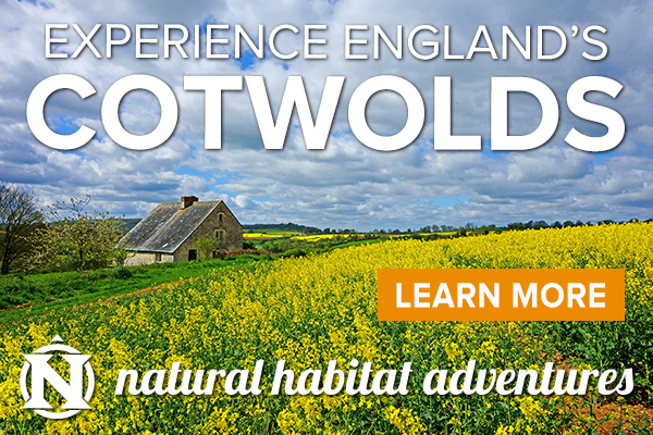 Cotswolds Tour Package