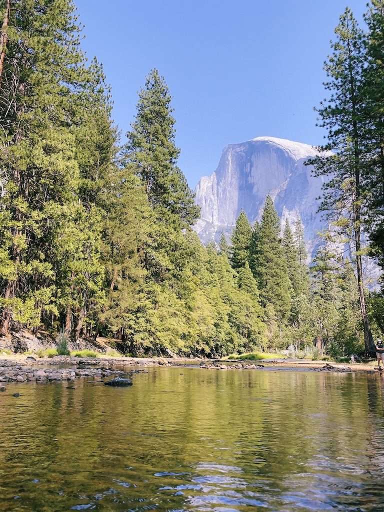 The legendary Half Dome. This sheer granite wall towers above the trees.