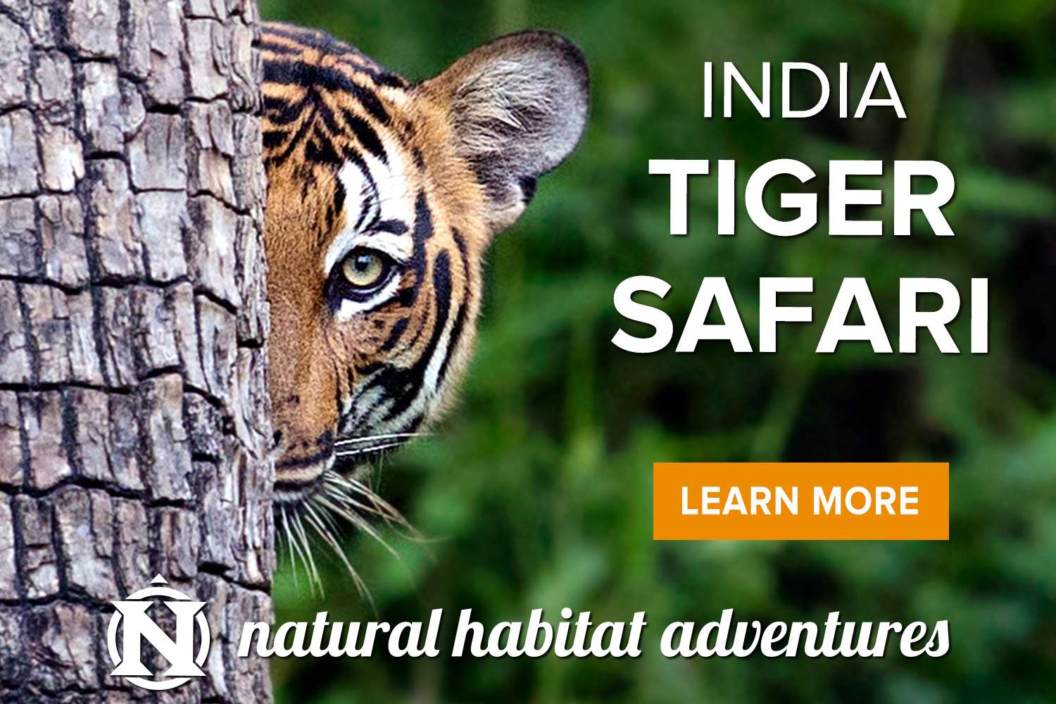 Grand India wildlife safari
