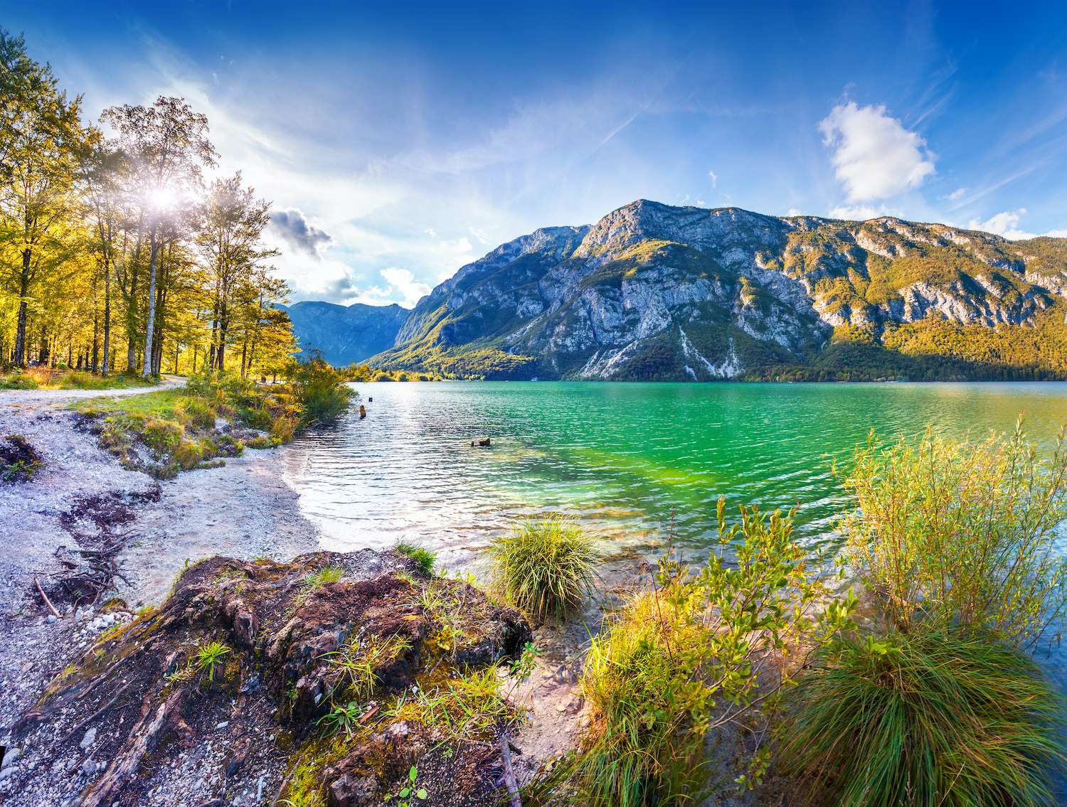 Colorful summer morning on the Bohinj lake in Triglav national park Slovenia, Julian Alps, Europe.