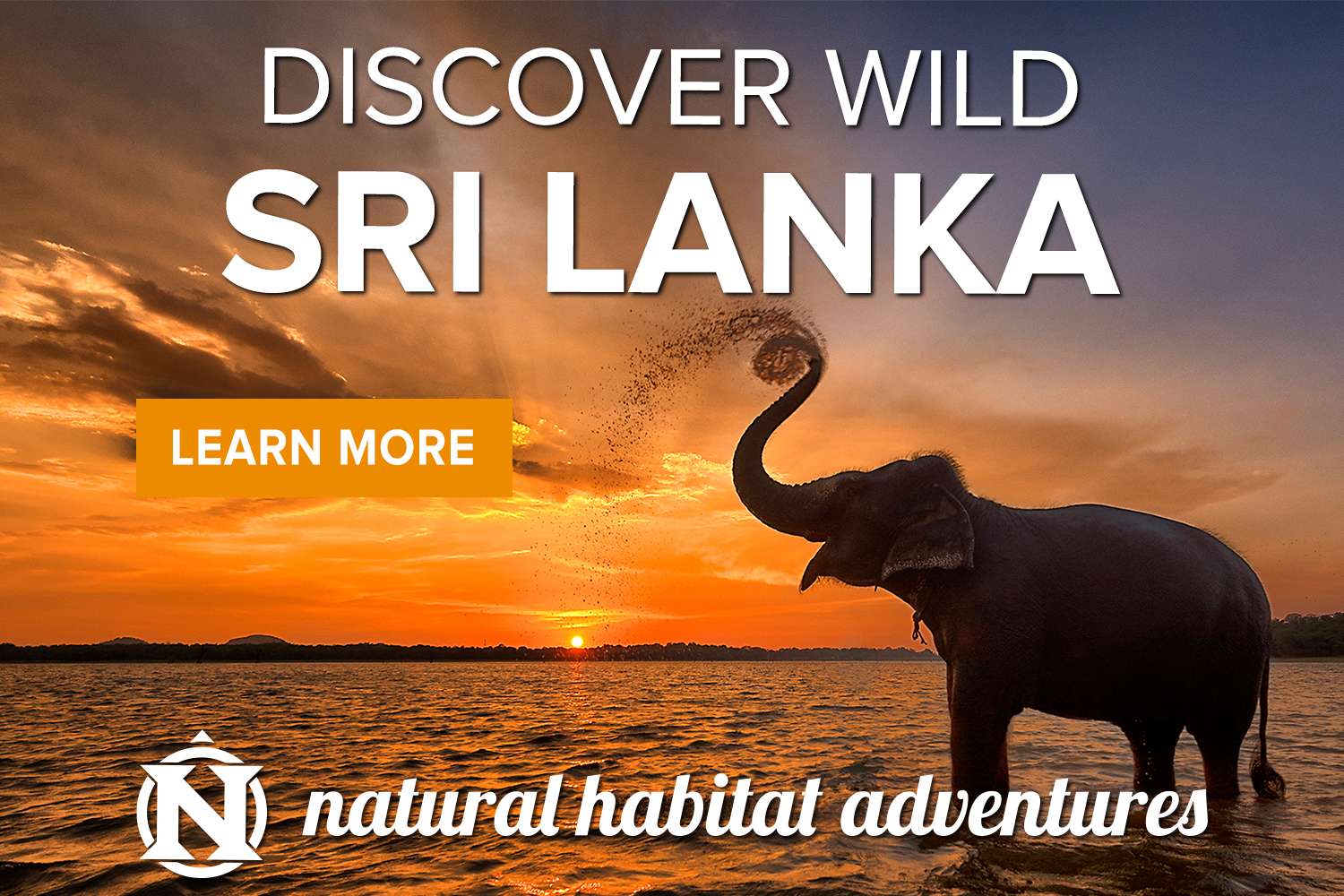 Explore Wild Sri Lanka