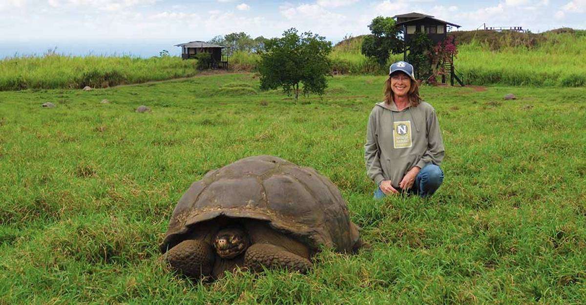 Natural Habitat Adventures Tortoise Camp in the Galapagos