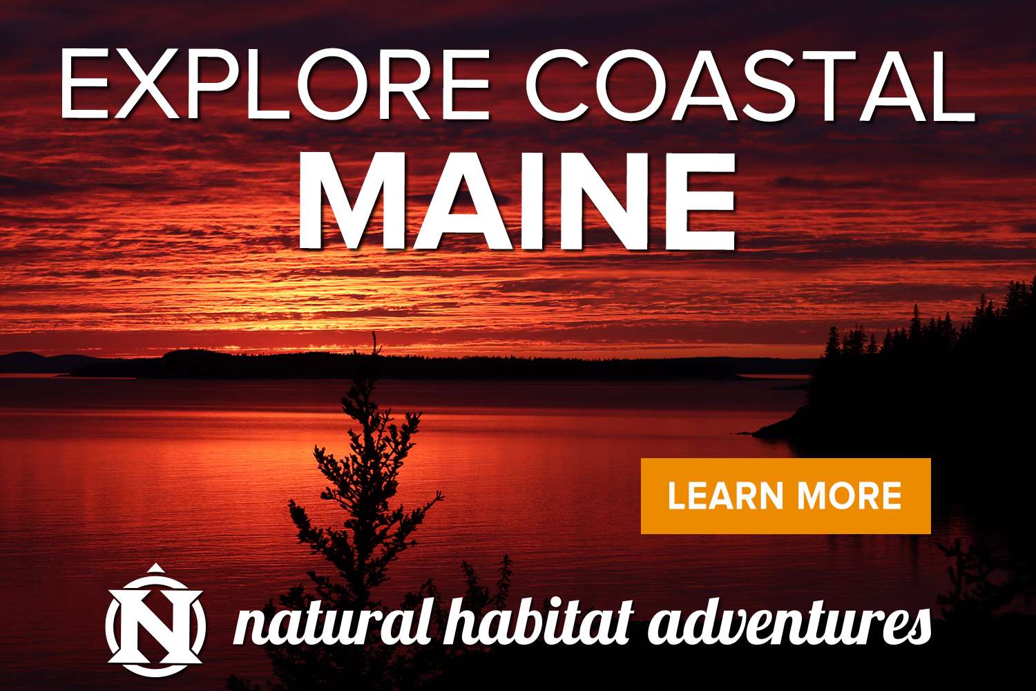 Explore coastal Maine
