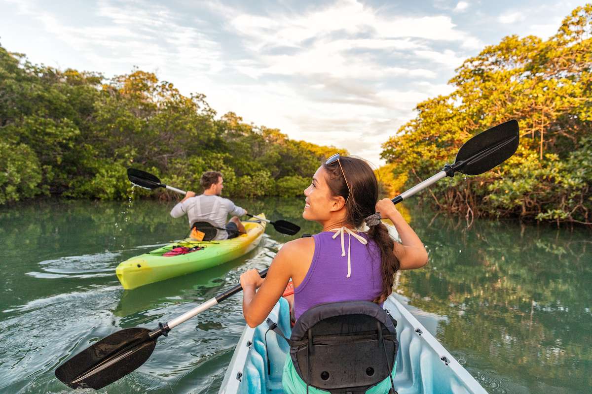Couple kayaking together in mangrove river. Florida, USA. 